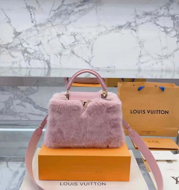 Louis Vuitton Capucines Bag