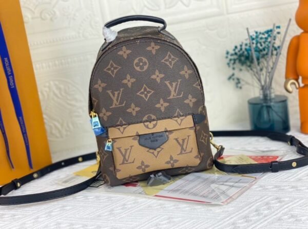 Louis Vuitton Palm Springs Mini